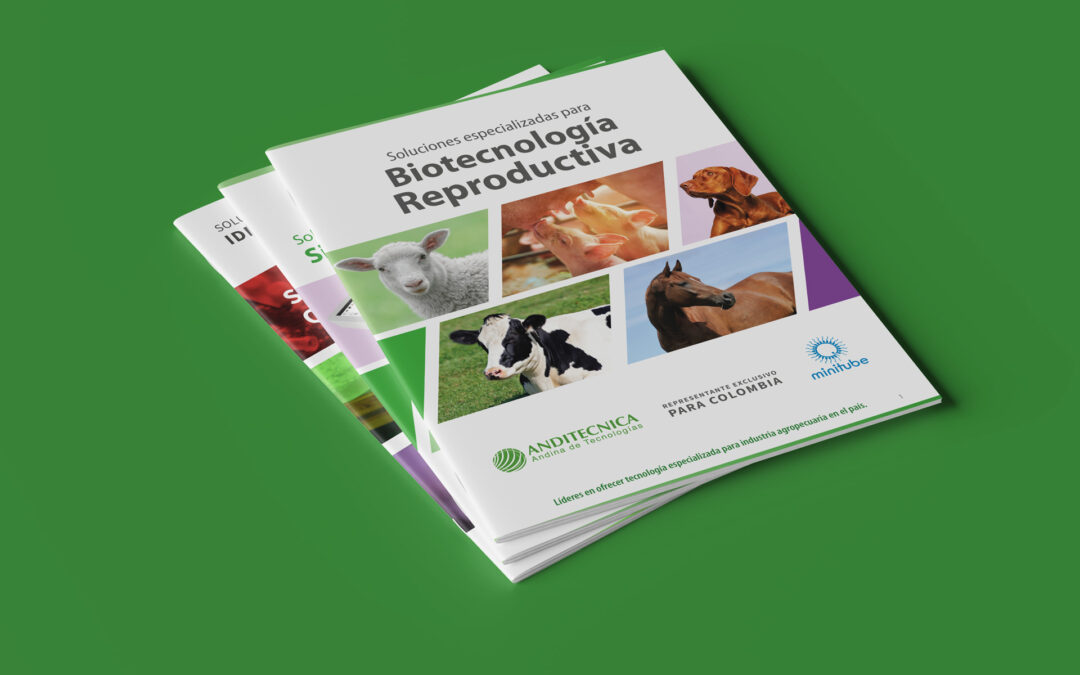 Diseño catálogo de productos